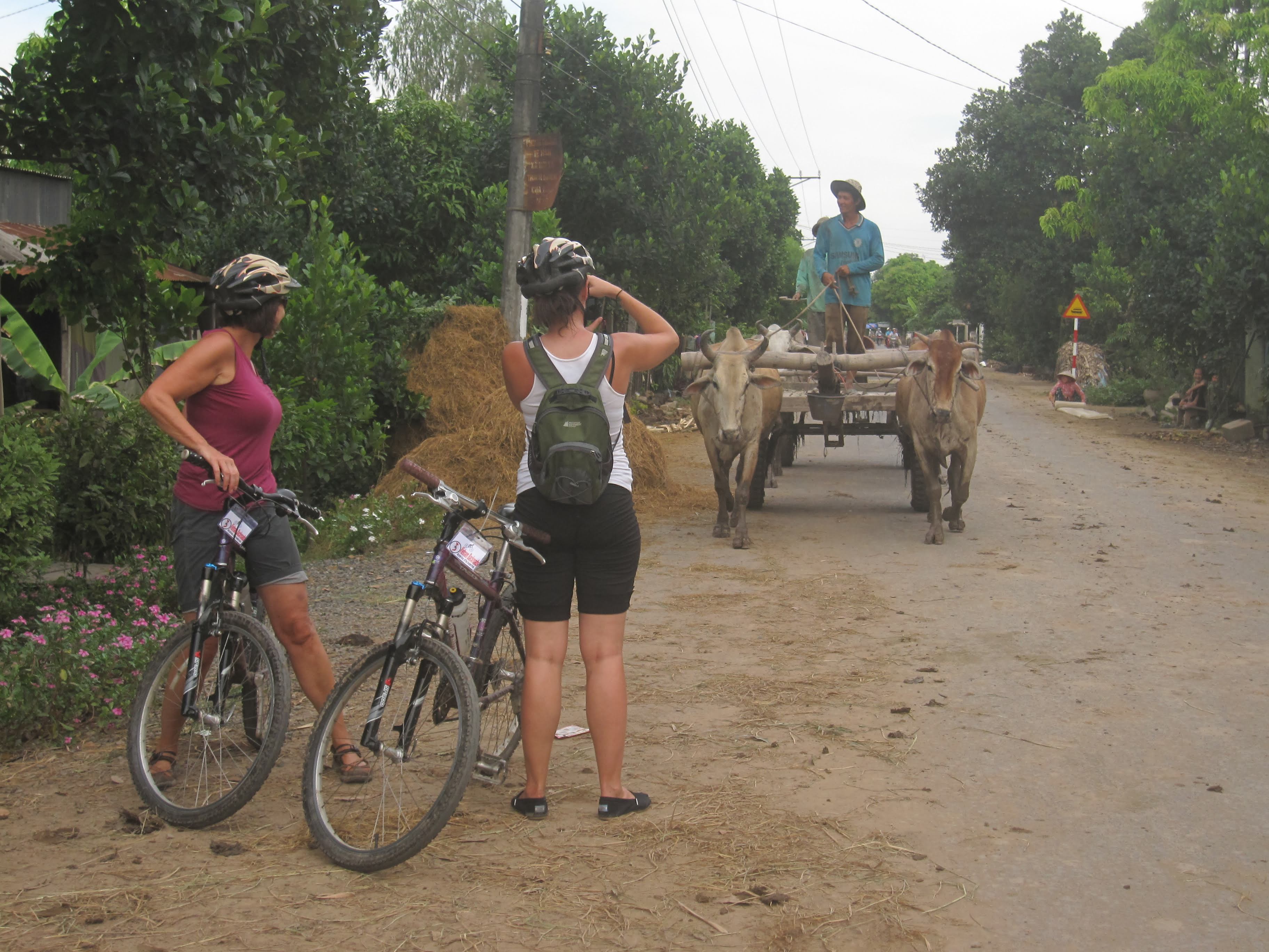 Mekong Delta by bike