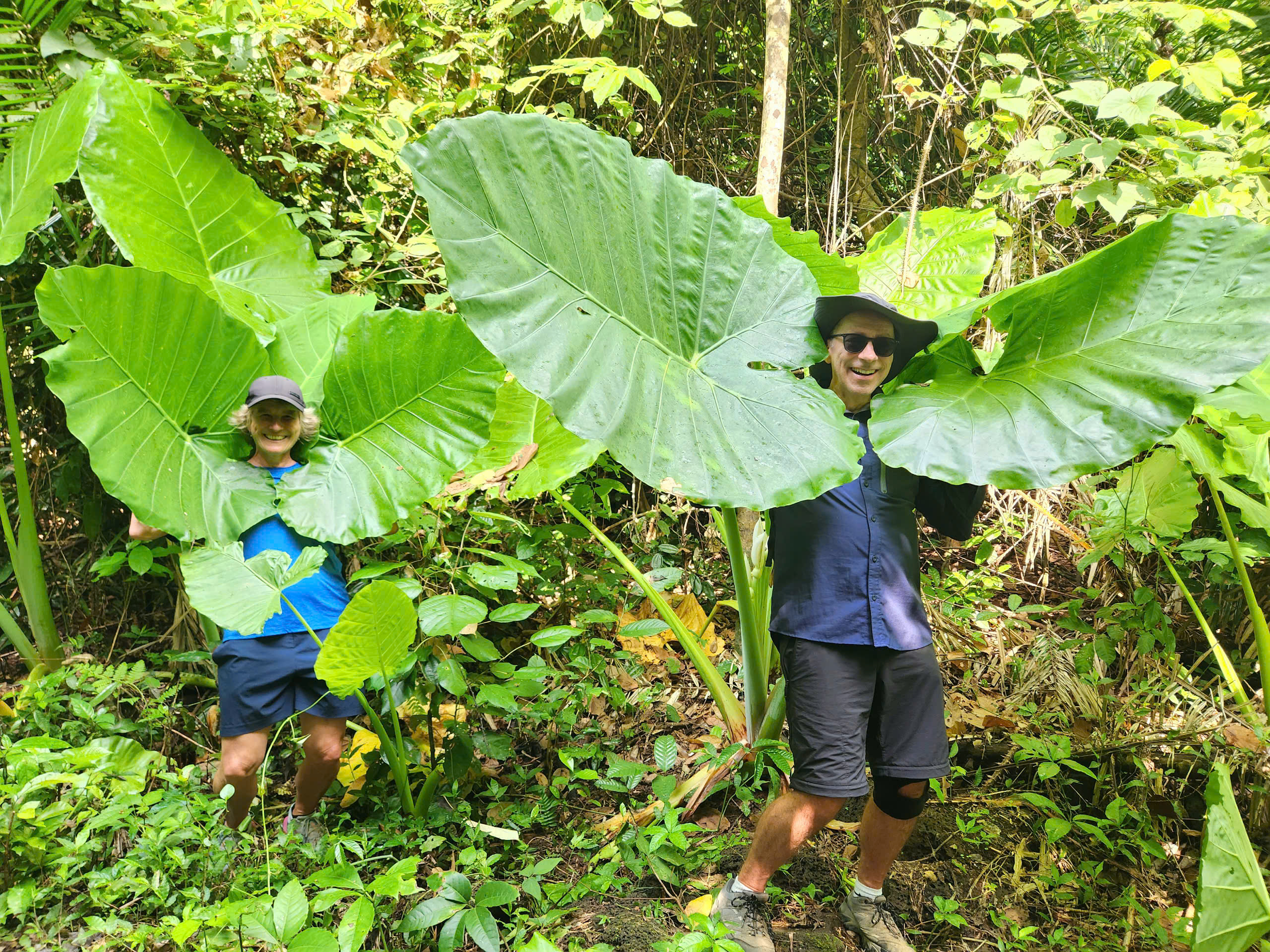 Trekking in Nam Cat Tien Park