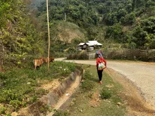 Cycling trips in Vietnam